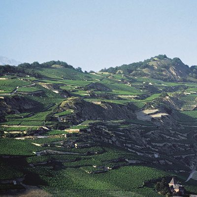 Badoux Vins Secondary Image @2x