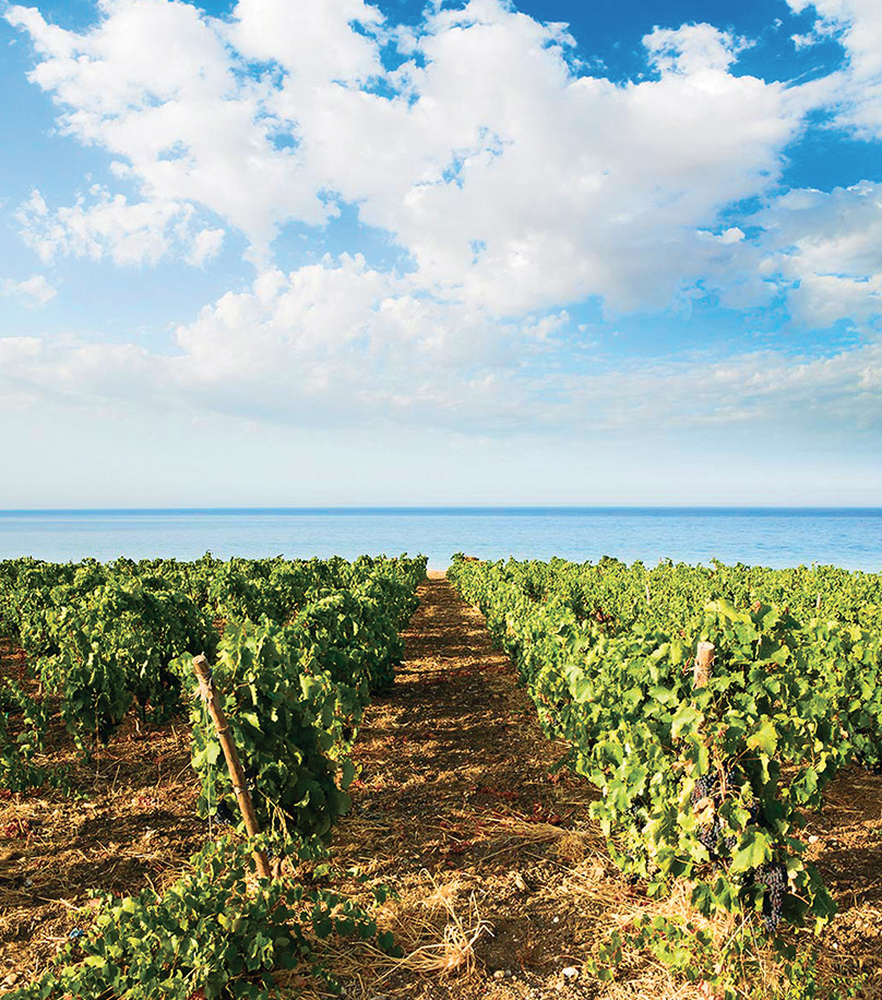 James-martin-buckingham-schenk-4