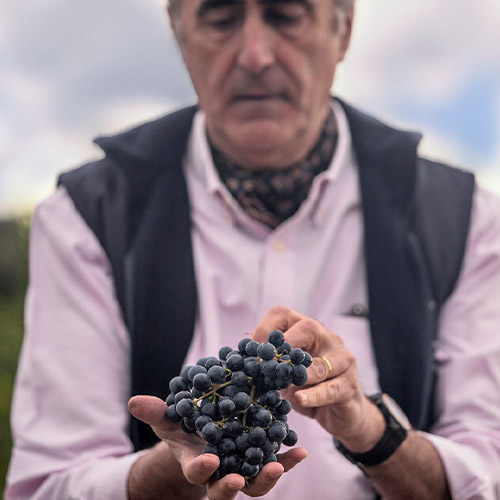 Vinalba