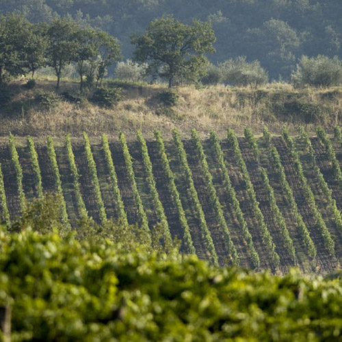 castello-di-querceto2