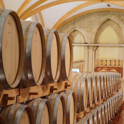 Rhonea DSC06100-9457617